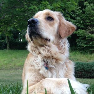 Meet your Posher, Margaret